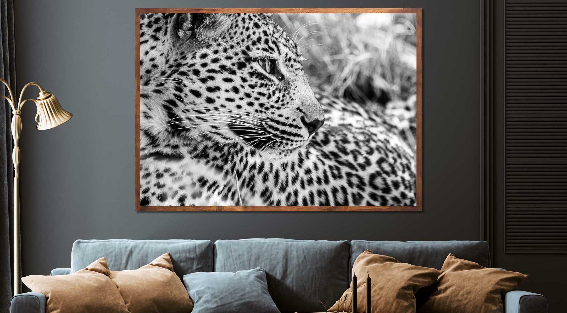Leopard sabi sands