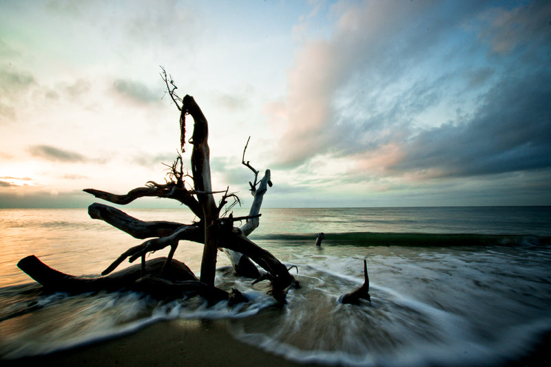 Fine art beach