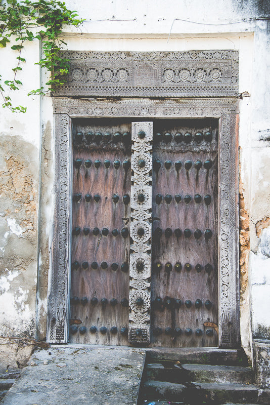 Zanzibar doors artwork online